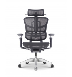 ERGOWING WIM01